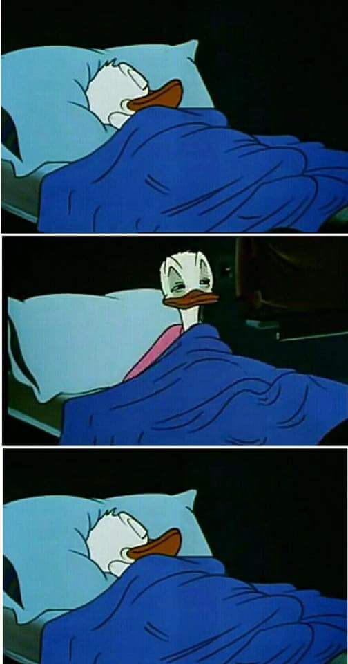 Donald duck Memes - Imgflip.