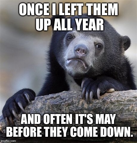 Confession Bear Meme | ONCE I LEFT THEM UP ALL YEAR AND OFTEN IT'S MAY BEFORE THEY COME DOWN. | image tagged in memes,confession bear | made w/ Imgflip meme maker