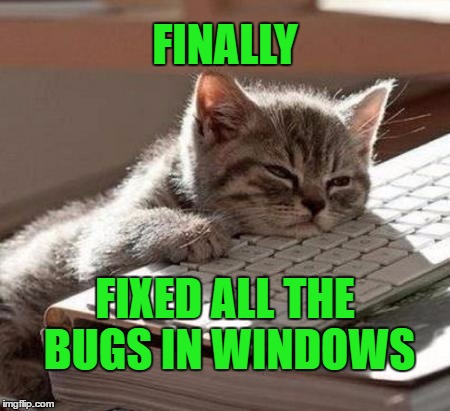 Koding Kitten | FINALLY; FIXED ALL THE BUGS IN WINDOWS | image tagged in tired cat,koding kitten | made w/ Imgflip meme maker