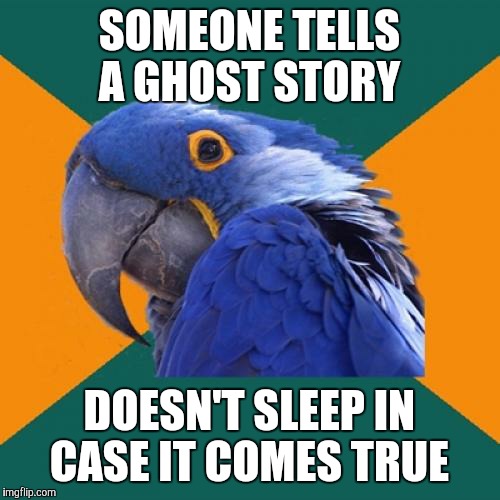 Paranoid Parrot Meme | SOMEONE TELLS A GHOST STORY; DOESN'T SLEEP IN CASE IT COMES TRUE | image tagged in memes,paranoid parrot | made w/ Imgflip meme maker