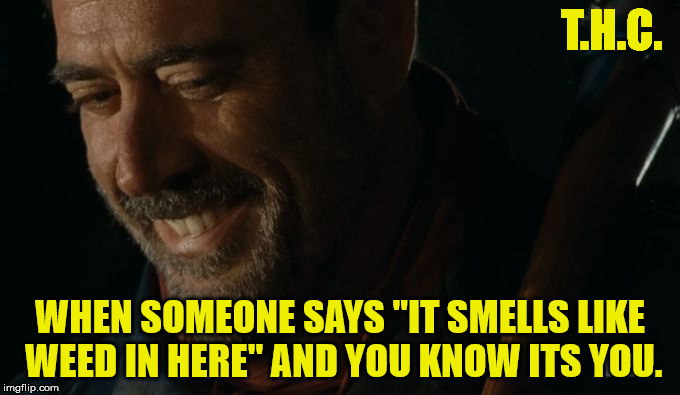 negan meme | T.H.C. WHEN SOMEONE SAYS "IT SMELLS LIKE WEED IN HERE" AND YOU KNOW ITS YOU. | image tagged in negan meme | made w/ Imgflip meme maker