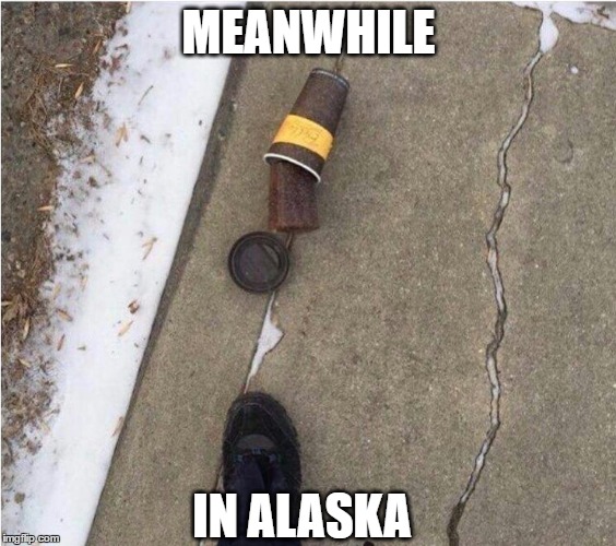 accurate | MEANWHILE; IN ALASKA | image tagged in memes,meanwhile,alaska,meanwhile in alaska | made w/ Imgflip meme maker