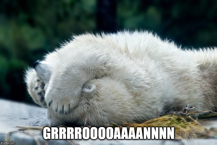 GRRRROOOOAAAANNNN | made w/ Imgflip meme maker