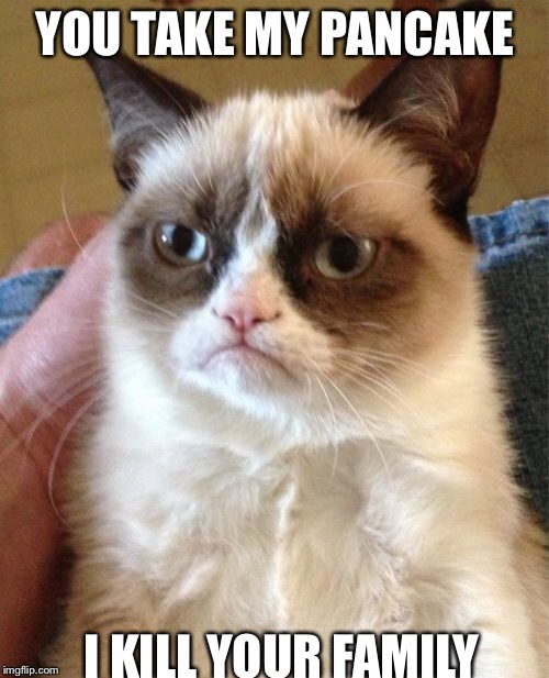 Grumpy Cat Meme | YOU TAKE MY PANCAKE I KILL YOUR FAMILY | image tagged in memes,grumpy cat | made w/ Imgflip meme maker