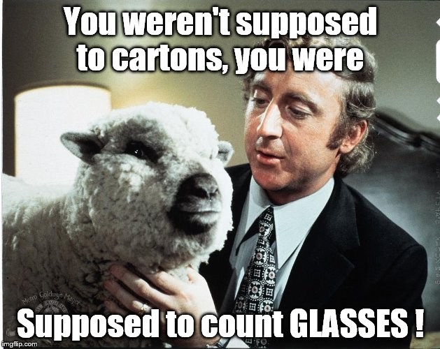 Baaa | You weren't supposed to cartons, you were Supposed to count GLASSES ! | image tagged in baaa | made w/ Imgflip meme maker