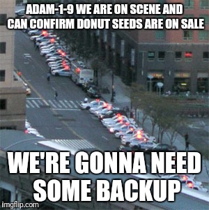 ADAM-1-9 WE ARE ON SCENE AND CAN CONFIRM DONUT SEEDS ARE ON SALE WE'RE GONNA NEED SOME BACKUP | made w/ Imgflip meme maker