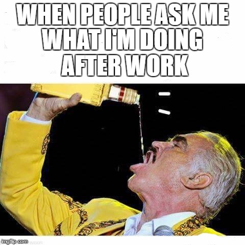 It helps me sleep | WHEN PEOPLE ASK ME; WHAT I'M DOING AFTER WORK | image tagged in work sucks | made w/ Imgflip meme maker