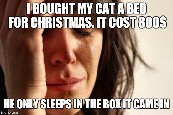 First World Problems Meme | I BOUGHT MY CAT A BED FOR CHRISTMAS. IT COST 800$; HE ONLY SLEEPS IN THE BOX IT CAME IN | image tagged in memes,first world problems | made w/ Imgflip meme maker