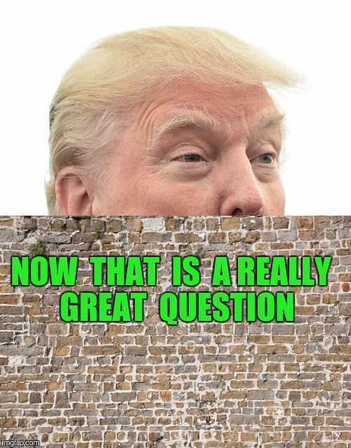 NOW  THAT  IS  A REALLY  GREAT  QUESTION | made w/ Imgflip meme maker