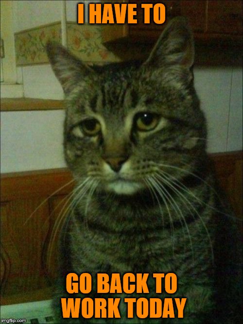 Depressed Cat | I HAVE TO; GO BACK TO WORK TODAY | image tagged in memes,depressed cat | made w/ Imgflip meme maker