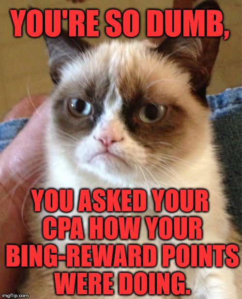 Grumpy Cat | YOU'RE SO DUMB, YOU ASKED YOUR CPA HOW YOUR BING-REWARD POINTS WERE DOING. | image tagged in memes,grumpy cat,first world problems,funny | made w/ Imgflip meme maker