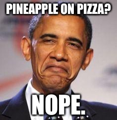 stupid | PINEAPPLE ON PIZZA? NOPE. | image tagged in stupid | made w/ Imgflip meme maker