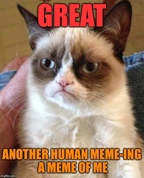 Grumpy Cat Meme | GREAT ANOTHER HUMAN MEME-ING A MEME OF ME | image tagged in memes,grumpy cat | made w/ Imgflip meme maker