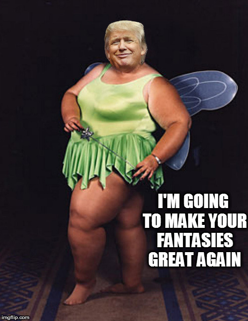 I'M GOING TO MAKE YOUR FANTASIES GREAT AGAIN | image tagged in fucktrump,dumptrump,donald trump the clown,fairy godmother tells it,fairy,fantasies | made w/ Imgflip meme maker
