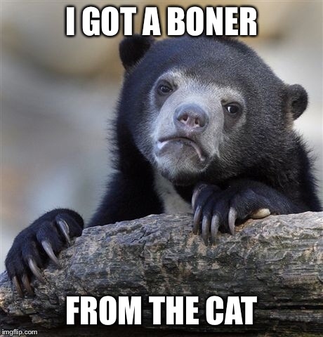 Confession Bear Meme | I GOT A BONER FROM THE CAT | image tagged in memes,confession bear | made w/ Imgflip meme maker