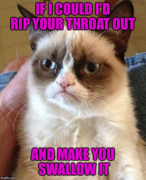 Grumpy Cat | IF I COULD I'D RIP YOUR THROAT OUT; AND MAKE YOU SWALLOW IT | image tagged in memes,grumpy cat | made w/ Imgflip meme maker