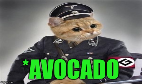 *AVOCADO | made w/ Imgflip meme maker