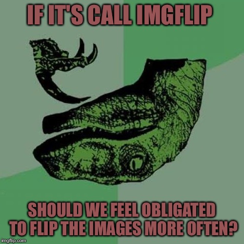Philosoraptor Meme | IF IT'S CALL IMGFLIP; SHOULD WE FEEL OBLIGATED TO FLIP THE IMAGES MORE OFTEN? | image tagged in memes,philosoraptor | made w/ Imgflip meme maker