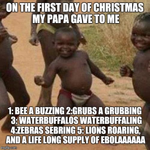 Third World Success Kid | ON THE FIRST DAY OF CHRISTMAS MY PAPA GAVE TO ME; 1: BEE A BUZZING 2:GRUBS A GRUBBING  3: WATERBUFFALOS WATERBUFFALING 4:ZEBRAS SEBRING 5: LIONS ROARING, AND A LIFE LONG SUPPLY OF EBOLAAAAAA | image tagged in memes,third world success kid | made w/ Imgflip meme maker