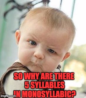Confused Baby | SO WHY ARE THERE 5 SYLLABLES IN MONOSYLLABIC? | image tagged in confused baby | made w/ Imgflip meme maker