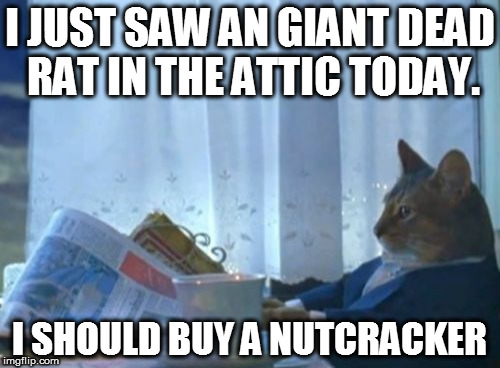 Post-Christmas fatigue... | I JUST SAW AN GIANT DEAD RAT IN THE ATTIC TODAY. I SHOULD BUY A NUTCRACKER | image tagged in memes,i should buy a boat cat,christmas,nutcracker,funny,cats | made w/ Imgflip meme maker