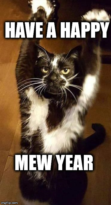 Happy Mew Year | HAVE A HAPPY; MEW YEAR | image tagged in cat,funny | made w/ Imgflip meme maker