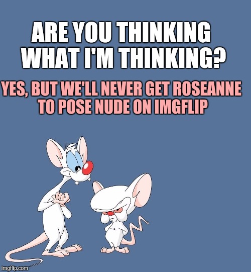 They're Pinky and the Brain Brain Brain Brain | ARE YOU THINKING WHAT I'M THINKING? YES, BUT WE'LL NEVER GET ROSEANNE TO POSE NUDE ON IMGFLIP | image tagged in pinky and the brain,thinking,gmta,great minds think alike | made w/ Imgflip meme maker