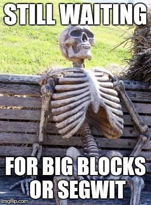 Waiting Skeleton Meme | STILL WAITING; FOR BIG BLOCKS OR SEGWIT | image tagged in memes,waiting skeleton | made w/ Imgflip meme maker