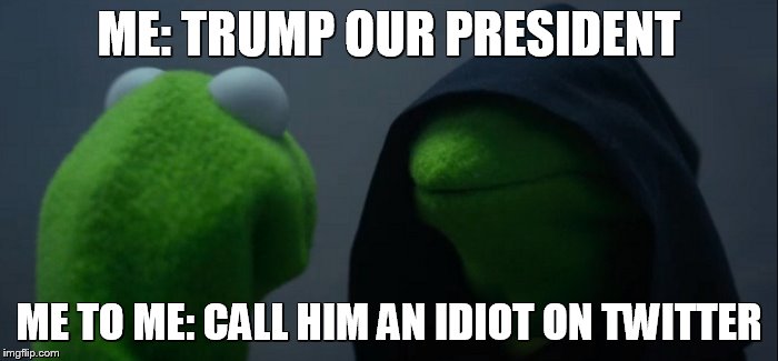 Evil Kermit Meme | ME: TRUMP OUR PRESIDENT; ME TO ME: CALL HIM AN IDIOT ON TWITTER | image tagged in evil kermit | made w/ Imgflip meme maker