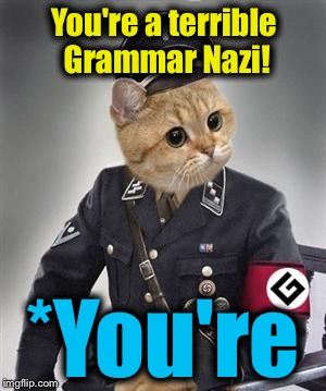You're a terrible Grammar Nazi! *You're | made w/ Imgflip meme maker