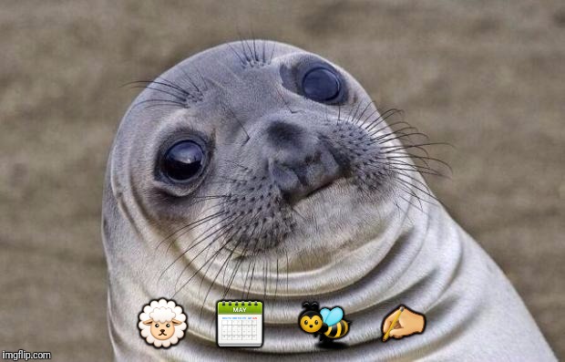 Awkward Moment Sealion Meme | image tagged in memes,awkward moment sealion | made w/ Imgflip meme maker