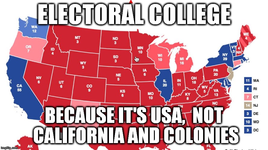 ELECTORAL COLLEGE; BECAUSE IT'S USA,
 NOT CALIFORNIA AND COLONIES | image tagged in electoral college | made w/ Imgflip meme maker