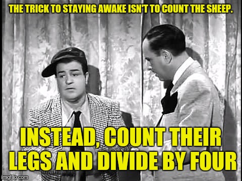 THE TRICK TO STAYING AWAKE ISN'T TO COUNT THE SHEEP. INSTEAD, COUNT THEIR LEGS AND DIVIDE BY FOUR | made w/ Imgflip meme maker