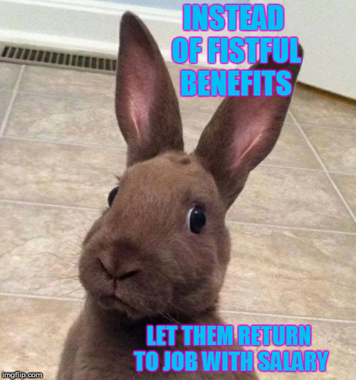 Really? Rabbit | INSTEAD OF FISTFUL BENEFITS; LET THEM RETURN TO JOB WITH SALARY | image tagged in really rabbit | made w/ Imgflip meme maker
