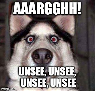 Dog | AAARGGHH! UNSEE, UNSEE, UNSEE, UNSEE | image tagged in can't unsee | made w/ Imgflip meme maker