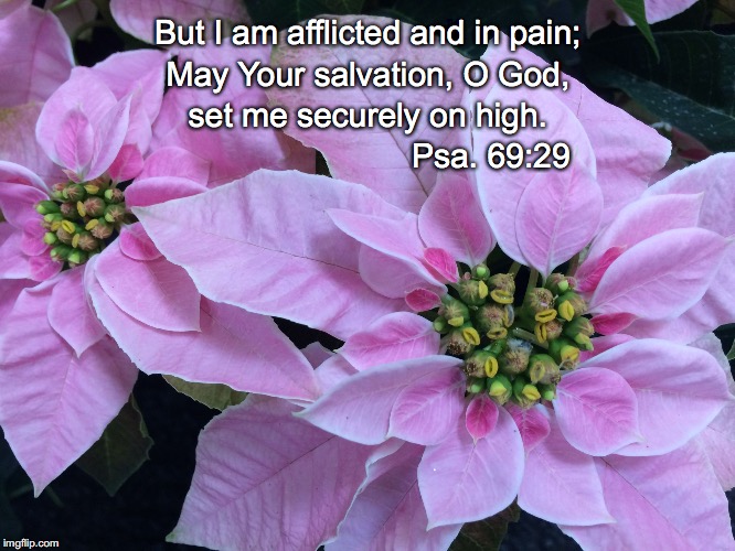 But I am afflicted and in pain;; May Your salvation, O God, set me securely on high. Psa. 69:29 | image tagged in on high | made w/ Imgflip meme maker