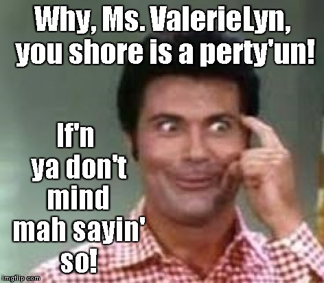 Why, Ms. ValerieLyn, you shore is a perty'un! If'n ya don't mind mah sayin' so! | made w/ Imgflip meme maker