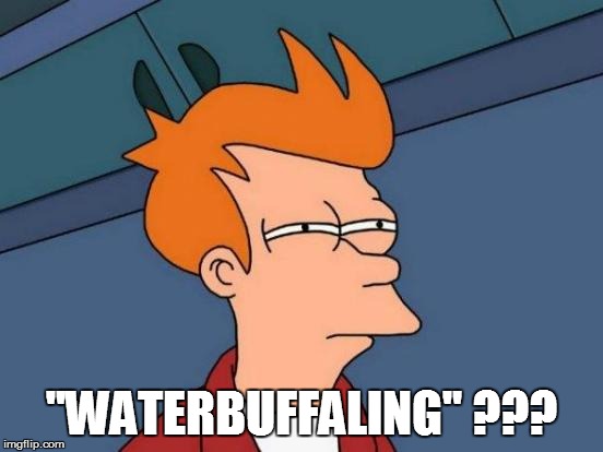 Futurama Fry Meme | "WATERBUFFALING" ??? | image tagged in memes,futurama fry | made w/ Imgflip meme maker