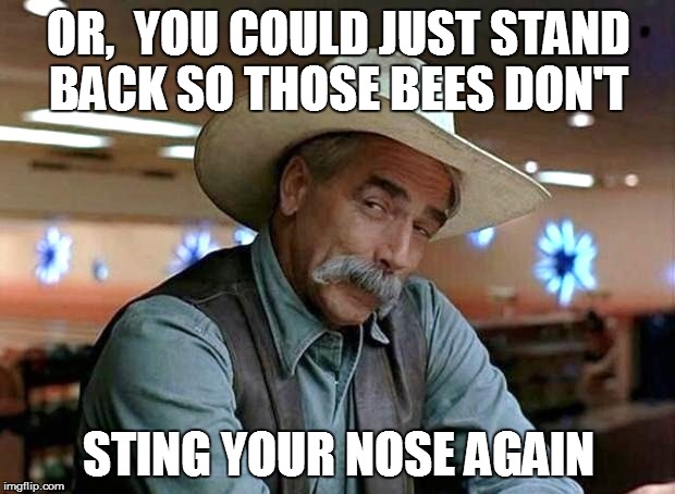 OR,  YOU COULD JUST STAND BACK SO THOSE BEES DON'T STING YOUR NOSE AGAIN | made w/ Imgflip meme maker