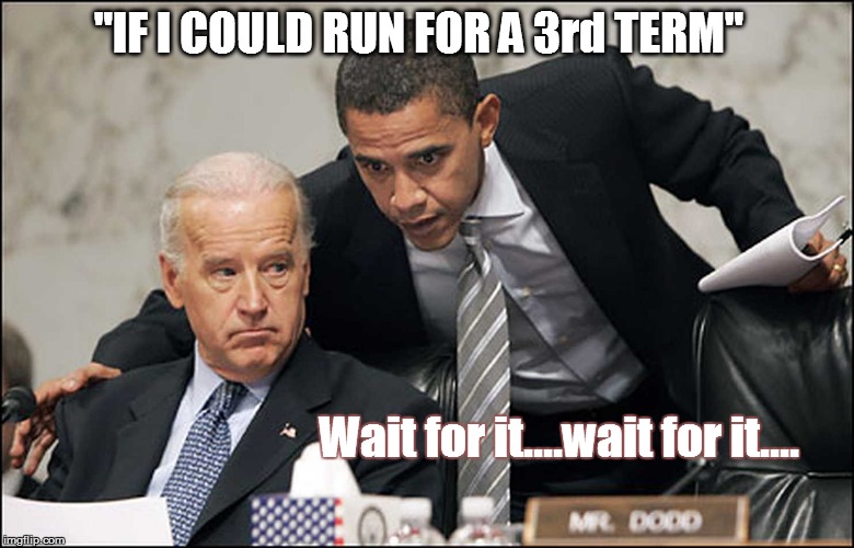 Obama Biden | "IF I COULD RUN FOR A 3rd TERM"; Wait for it....wait for it.... | image tagged in obama biden | made w/ Imgflip meme maker