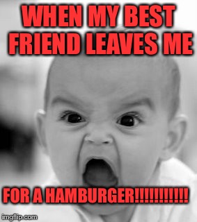 Angry Baby | WHEN MY BEST FRIEND LEAVES ME; FOR A HAMBURGER!!!!!!!!!!! | image tagged in memes,angry baby | made w/ Imgflip meme maker