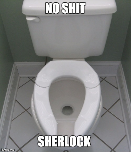  NO SHIT; SHERLOCK | image tagged in toilette | made w/ Imgflip meme maker