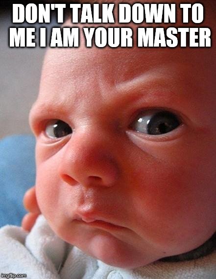 Angry kid | DON'T TALK DOWN TO ME I AM YOUR MASTER | image tagged in angry kid | made w/ Imgflip meme maker