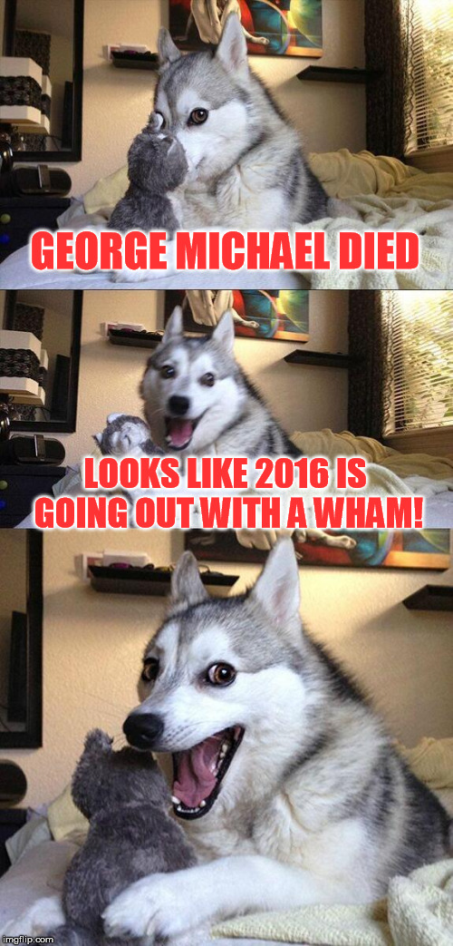 I know it's probably too soon, but I couldn't resist. Need a sad bad pun dog for this one. | GEORGE MICHAEL DIED; LOOKS LIKE 2016 IS GOING OUT WITH A WHAM! | image tagged in memes,bad pun dog,too soon,rip | made w/ Imgflip meme maker