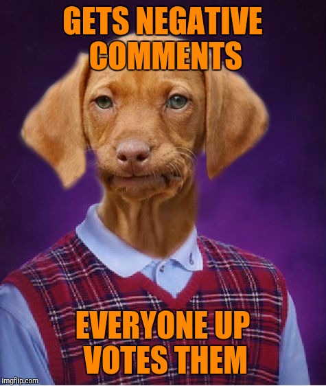 Bad Luck Raydog | GETS NEGATIVE COMMENTS EVERYONE UP VOTES THEM | image tagged in bad luck raydog | made w/ Imgflip meme maker