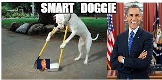 Smart doggie | SMART   DOGGIE | image tagged in bad pun dog,funny dogs,too funny,bad pun trump | made w/ Imgflip meme maker