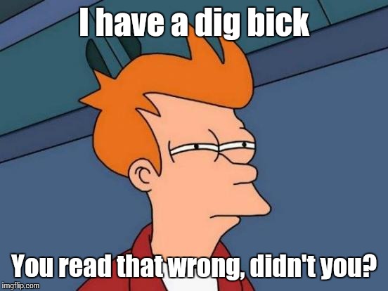 Futurama Fry | I have a dig bick; You read that wrong, didn't you? | image tagged in memes,futurama fry,trhtimmy | made w/ Imgflip meme maker