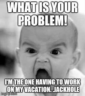 Angry Baby Meme | WHAT IS YOUR PROBLEM! I'M THE ONE HAVING TO WORK ON MY VACATION. .JACKHOLE | image tagged in memes,angry baby | made w/ Imgflip meme maker