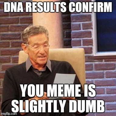 Maury Lie Detector Meme | DNA RESULTS CONFIRM YOU MEME IS SLIGHTLY DUMB | image tagged in memes,maury lie detector | made w/ Imgflip meme maker