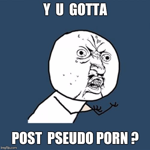 Y U No Meme | Y  U  GOTTA POST  PSEUDO PORN ? | image tagged in memes,y u no | made w/ Imgflip meme maker